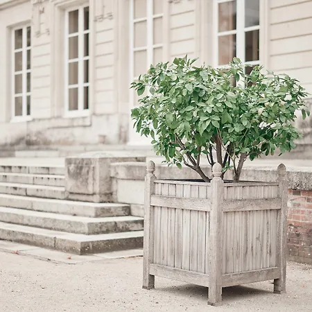 Château De Couette-café
