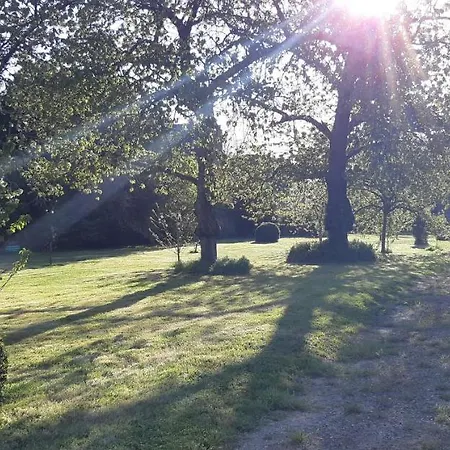 Nocleg ze śniadaniem Chateau De Craon 3*