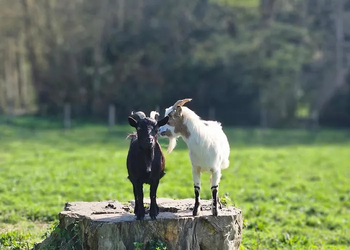 Panzió Chateau De 4*