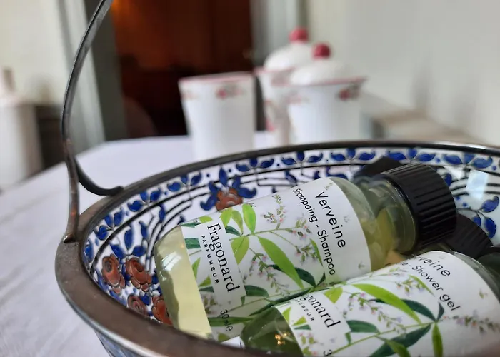 Chateau De Panzió 4*